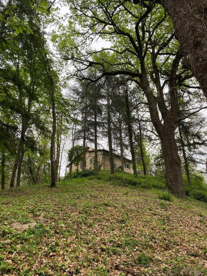 Naturemugello Oasi Naturista Dicomano Extérieur photo